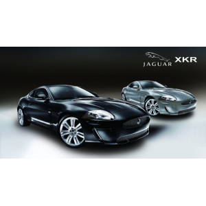 Jaguar XKR 1/14 Argent - Modelisme voiture - 403956
