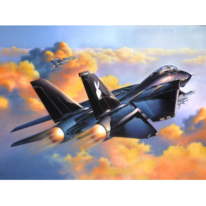 Grumman F-14A Black Tomcat - REVELL-04514