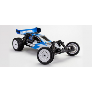 Criterion 1/10 2WD Electric Buggy