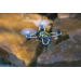 KODO drone camera RTF - Dromida