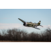 Eflite Avion warbird P-47D Thunderbolt BNF Basic