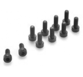 Screw Cyl. 6 Pan M2X10 Steel (10) - GF-0100-002