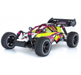 Buggy radiocommand� Atom Roller Cage Brushless 1/10 - Mod�lisme MHD Pro - Z6000015